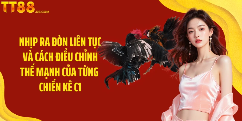 Nhịp ra đòn liên tục và cách điều chỉnh thế mạnh của từng chiến kê C1